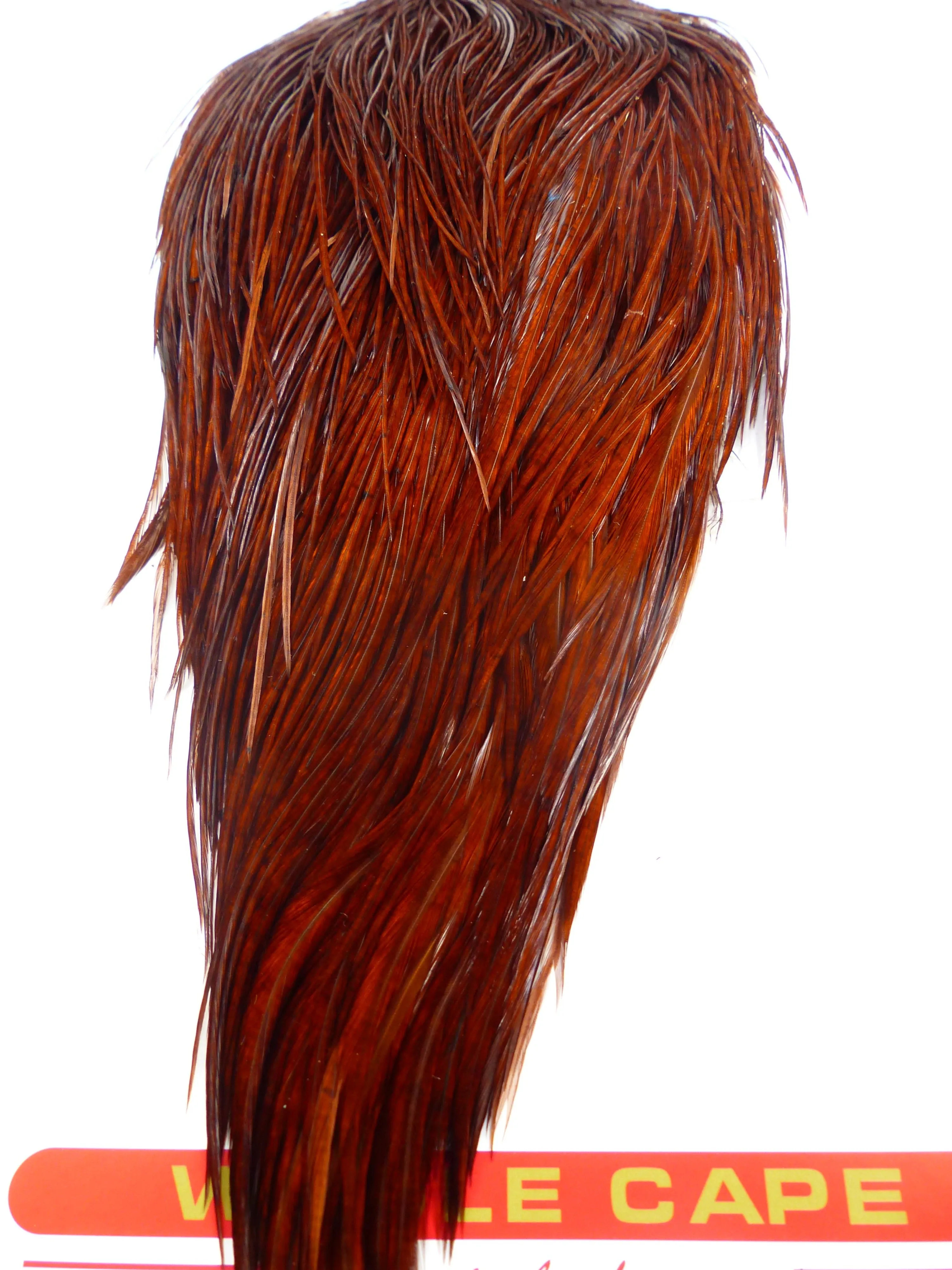 Cape de cou de coq Bronze Whiting