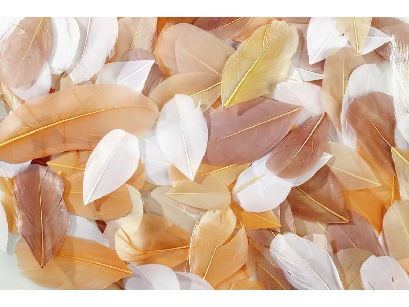 PLUMES COUPÉES CAMAÏEU