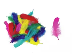 PLUMES DUVET D’OIE