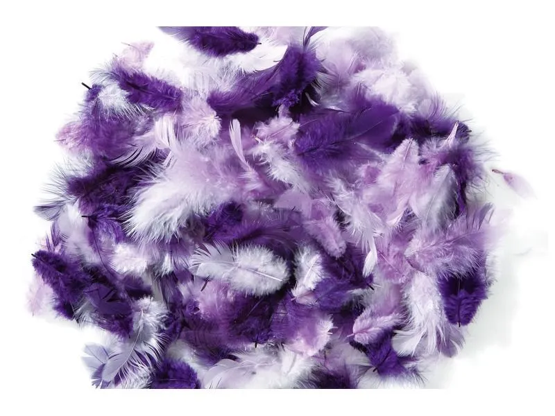 PLUMES DUVET